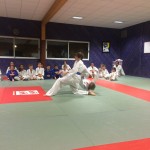 judo boos 76 Camille Bovin ceinture marron