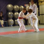 Judo club boos 76 fete remise de grades ceintures